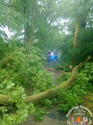 Foto des Albums: Einsatz 926 H: Natur Altlüdersdorf Ri. Wentow