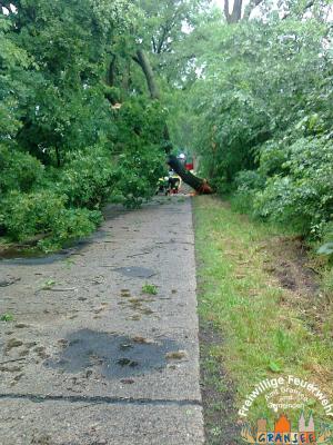 Foto des Albums: Einsatz 926 H: Natur Altlüdersdorf Ri. Wentow