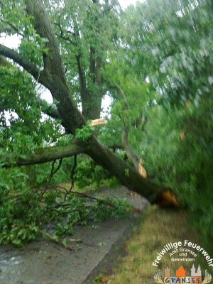 Foto des Albums: Einsatz 926 H: Natur Altlüdersdorf Ri. Wentow