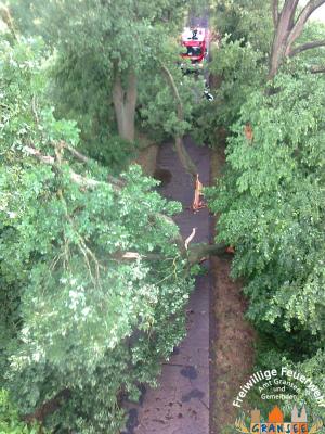 Foto des Albums: Einsatz 926 H: Natur Altlüdersdorf Ri. Wentow
