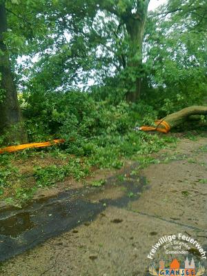 Foto des Albums: Einsatz 926 H: Natur Altlüdersdorf Ri. Wentow