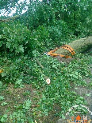 Foto des Albums: Einsatz 926 H: Natur Altlüdersdorf Ri. Wentow