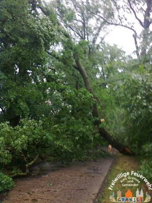 Foto des Albums: Einsatz 926 H: Natur Altlüdersdorf Ri. Wentow