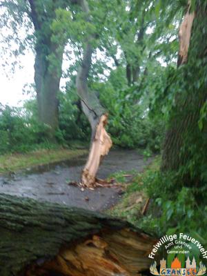 Foto des Albums: Einsatz 926 H: Natur Altlüdersdorf Ri. Wentow