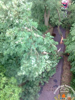 Foto des Albums: Einsatz 926 H: Natur Altlüdersdorf Ri. Wentow