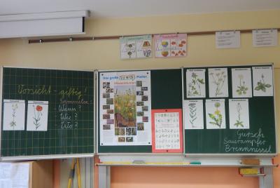 Foto des Albums: Mittelalterwoche die Stationen Teil 1