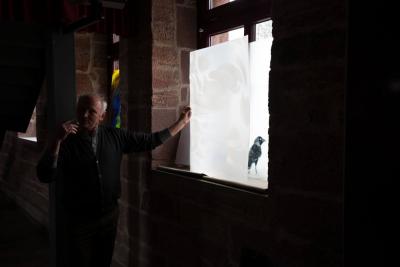 Foto des Albums: Die neuen Kirchenfenster