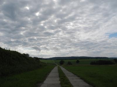Foto des Albums: Wanderung Klasse 1b