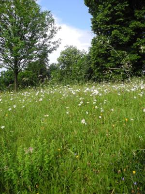 Foto des Albums: Wanderung Klasse 1b