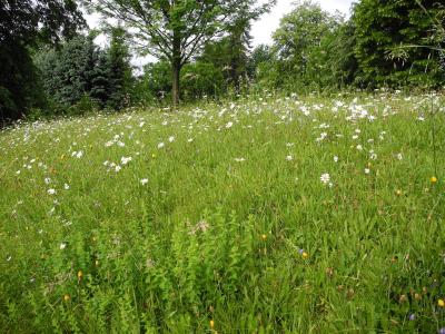 Foto des Albums: Wanderung Klasse 1b