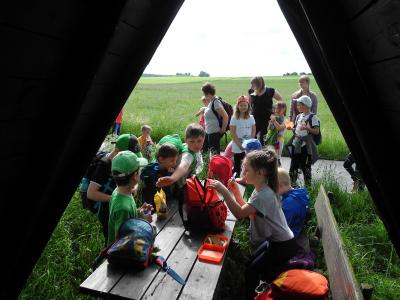 Foto des Albums: Wanderung Klasse 1b