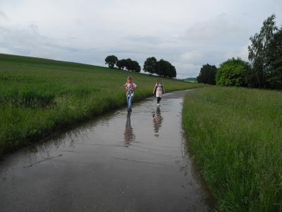 Foto des Albums: Wanderung Klasse 1b