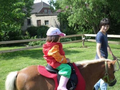 Foto des Albums: Kindertag der kleinen "Hummeln" aus Steffenshagen
