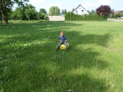 Foto des Albums: Kindertag der kleinen "Hummeln" aus Steffenshagen