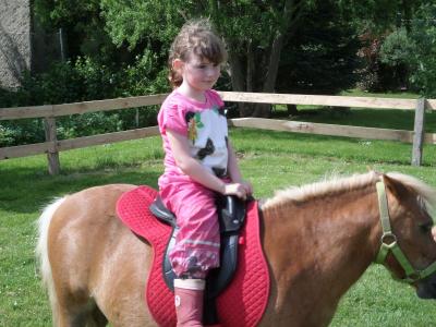 Foto des Albums: Kindertag der kleinen "Hummeln" aus Steffenshagen