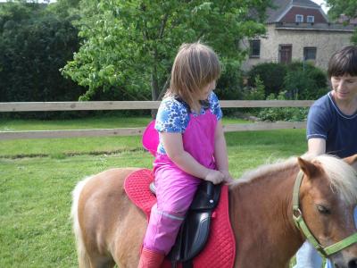 Foto des Albums: Kindertag der kleinen "Hummeln" aus Steffenshagen