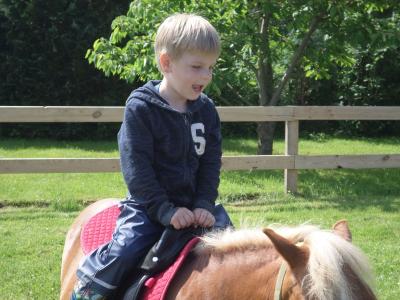 Foto des Albums: Kindertag der kleinen "Hummeln" aus Steffenshagen