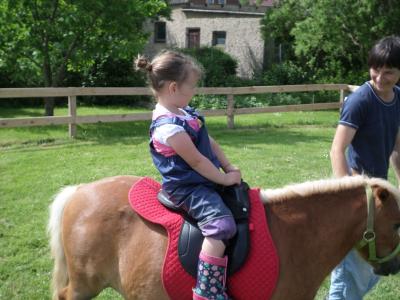 Foto des Albums: Kindertag der kleinen "Hummeln" aus Steffenshagen