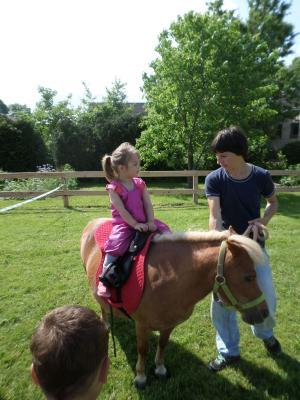 Foto des Albums: Kindertag der kleinen "Hummeln" aus Steffenshagen