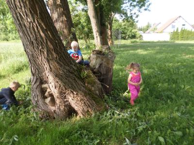 Foto des Albums: Kindertag der kleinen "Hummeln" aus Steffenshagen