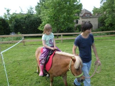 Foto des Albums: Kindertag der kleinen "Hummeln" aus Steffenshagen