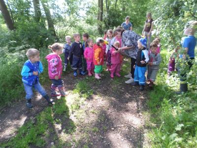Foto des Albums: Kindertag der kleinen "Hummeln" aus Steffenshagen