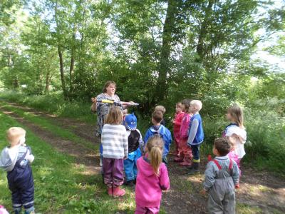 Foto des Albums: Kindertag der kleinen "Hummeln" aus Steffenshagen