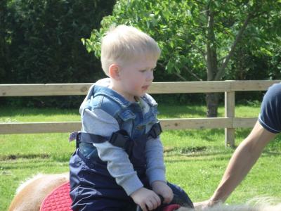 Foto des Albums: Kindertag der kleinen "Hummeln" aus Steffenshagen
