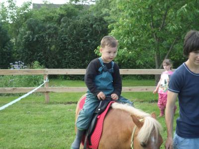 Foto des Albums: Kindertag der kleinen "Hummeln" aus Steffenshagen