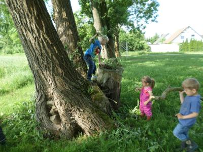 Foto des Albums: Kindertag der kleinen "Hummeln" aus Steffenshagen
