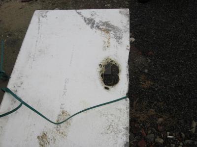 Foto des Albums: Dienstabend Einsatzübung