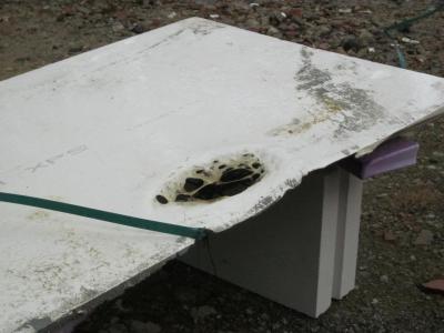 Foto des Albums: Dienstabend Einsatzübung