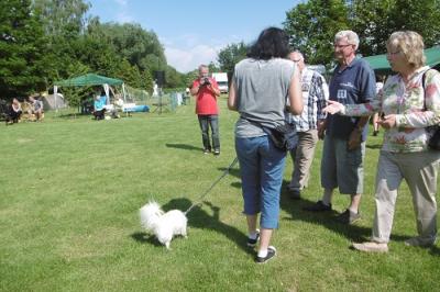 Foto des Albums: Tag des Hundes OT Hoym 2016