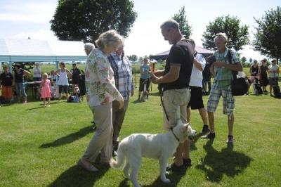 Foto des Albums: Tag des Hundes OT Hoym 2016
