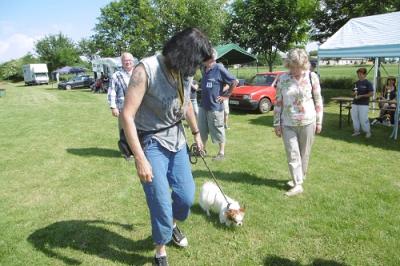 Foto des Albums: Tag des Hundes OT Hoym 2016