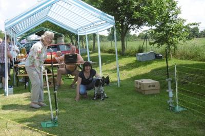 Foto des Albums: Tag des Hundes OT Hoym 2016