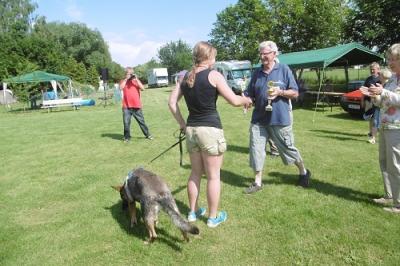 Foto des Albums: Tag des Hundes OT Hoym 2016