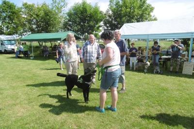 Foto des Albums: Tag des Hundes OT Hoym 2016