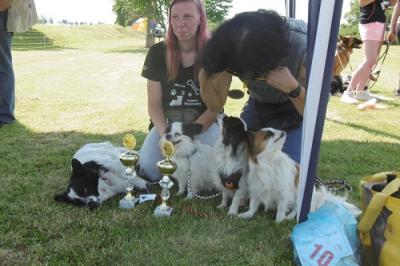 Foto des Albums: Tag des Hundes OT Hoym 2016