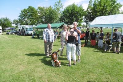Foto des Albums: Tag des Hundes OT Hoym 2016