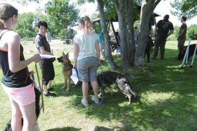Foto des Albums: Tag des Hundes OT Hoym 2016
