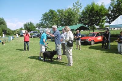 Foto des Albums: Tag des Hundes OT Hoym 2016