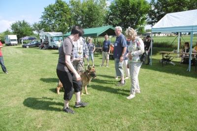 Foto des Albums: Tag des Hundes OT Hoym 2016
