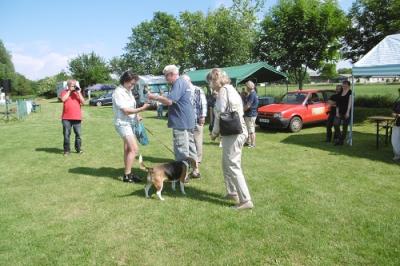 Foto des Albums: Tag des Hundes OT Hoym 2016