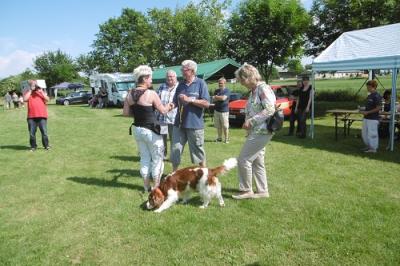 Foto des Albums: Tag des Hundes OT Hoym 2016
