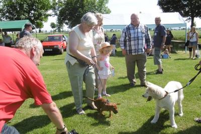 Foto des Albums: Tag des Hundes OT Hoym 2016