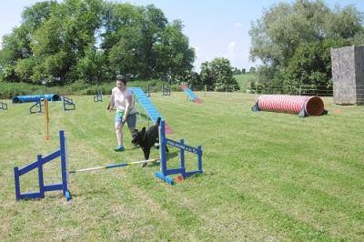 Foto des Albums: Tag des Hundes OT Hoym 2016