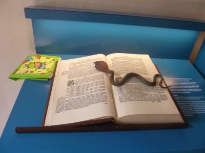 Foto des Albums: Prämierung mit einer echten Torte!