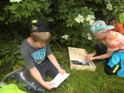 Foto des Albums: Abschlussfest Klasse 2a