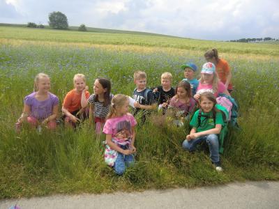 Foto des Albums: Abschlussfest Klasse 2a